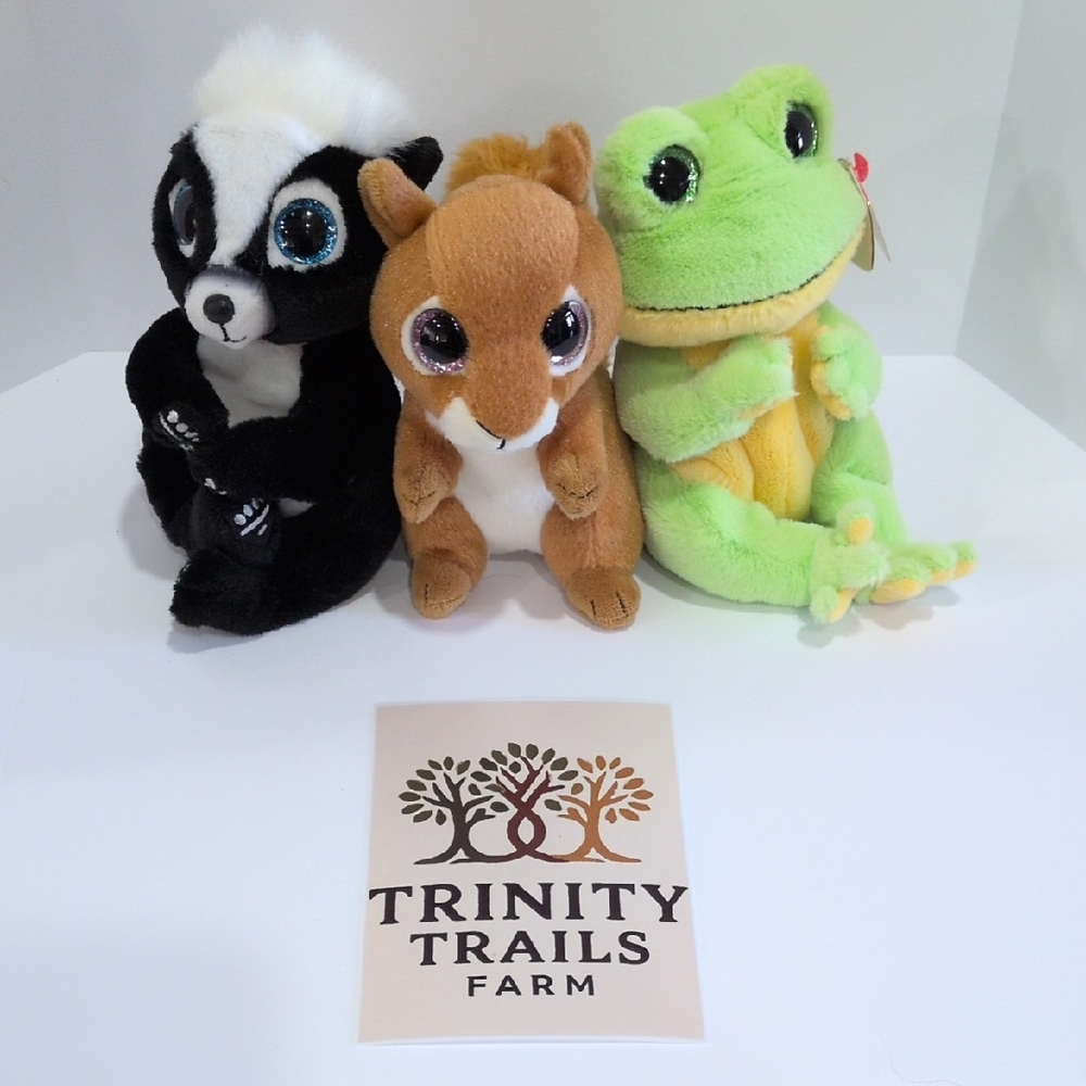 TY Beanie Backyard Trio